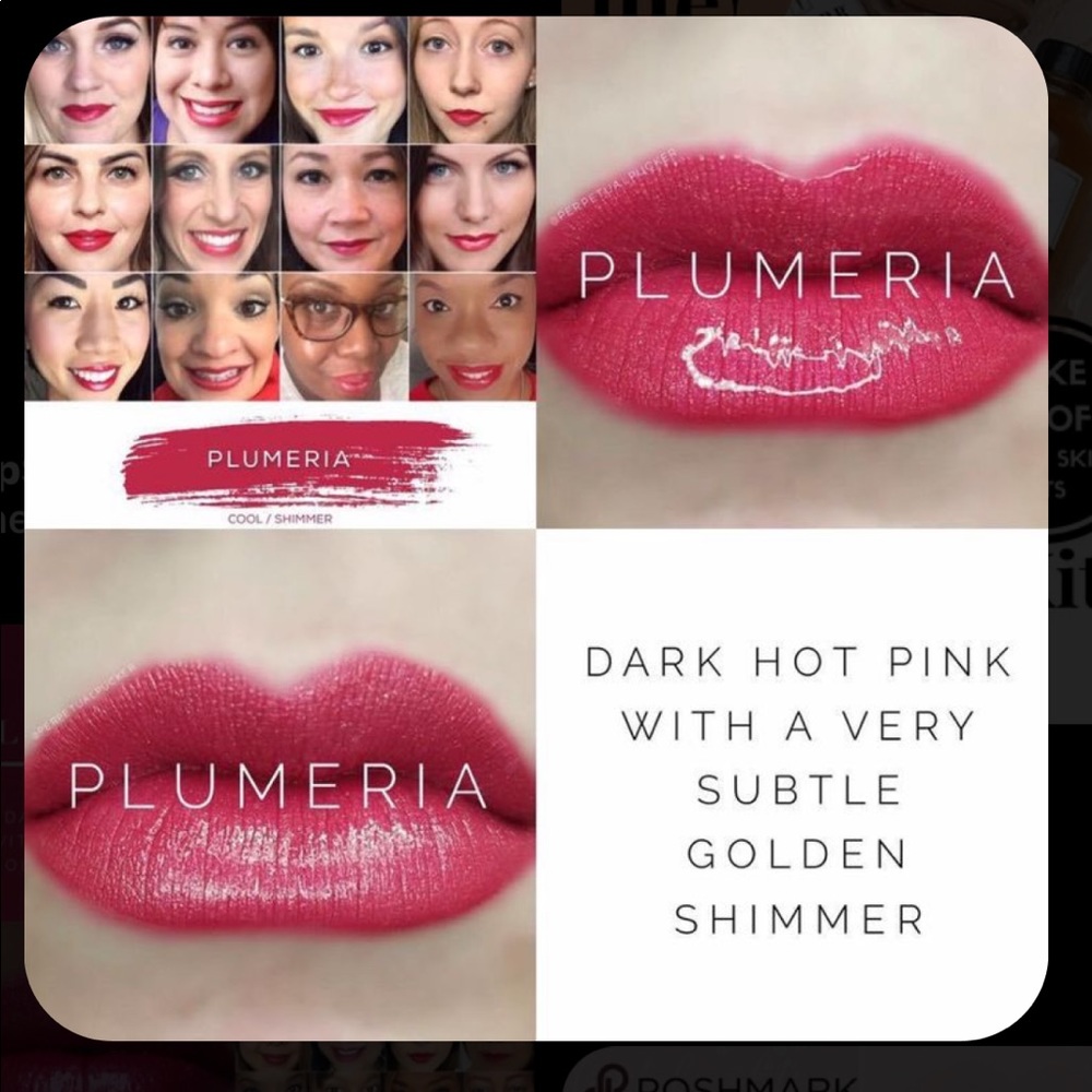 Plumeria lipsense
